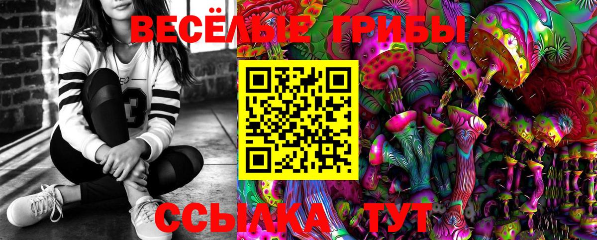 Псилоцибиновые грибы мухоморы Батайск